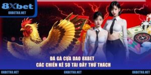 Đá Gà Cựa Dao 8XBET - Các Chiến Kê So Tài Đầy Thử Thách