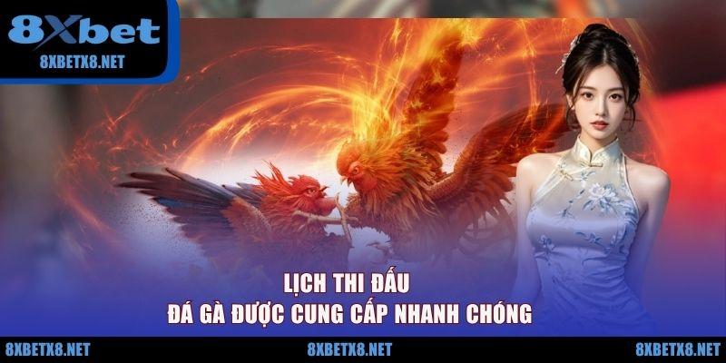 Lịch thi đấu đá gà được cung cấp nhanh chóng