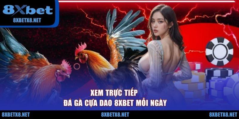 Xem trực tiếp đá gà cựa dao 8XBET mỗi ngày